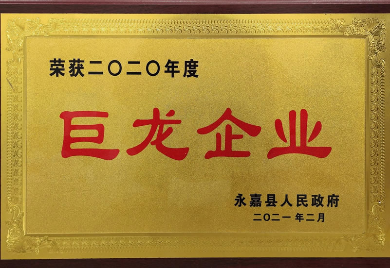 巨龍企業證書